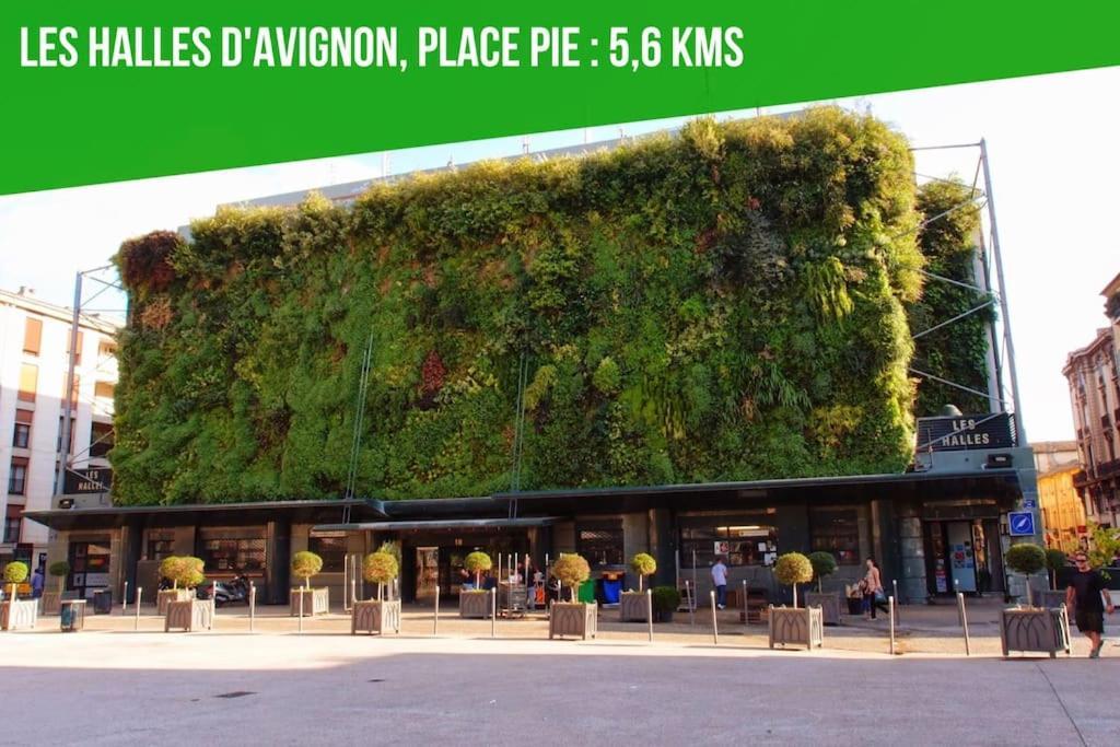 Petit Terme - Piscine - Clim - Parking Διαμέρισμα Les Angles  Εξωτερικό φωτογραφία